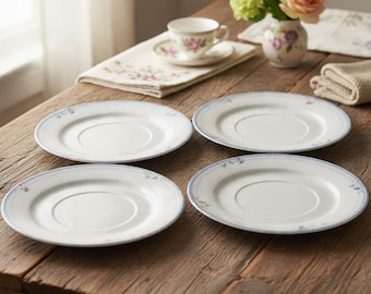 Oneida "The Select Collection" Blauw Raster 4 Schoteltjes