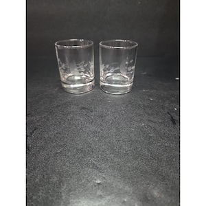 Princess House Heritage Etched Shot Glasses, Set of 2, 3.25&quot; Glassware, Barware, Etched Glass Gifts, Collectible Glassware