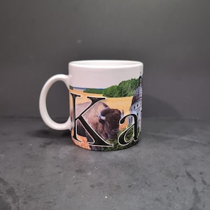Americaware 2017 Kansas 3D Collectible Mug, Ceramic Coffee Cup, Kansas Souvenir, Travel Keepsake, State Collectible