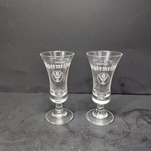 Jägermeister Cordial Shot Glass Pair, Vintage Clear Fluted Footed Set, Liqueur Glassware