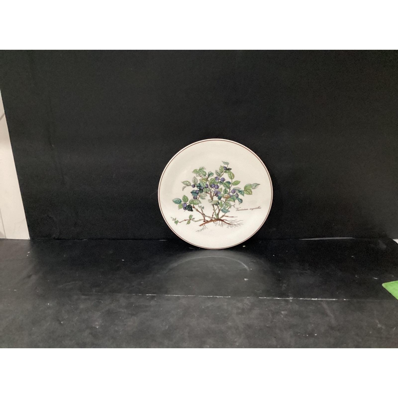 Villeroy Boch Botanica - Etsy