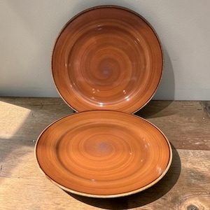 Thomson Pottery Caramel Brown Swirl Dinner Plates, Set of 2, Ceramic Dinnerware, Replacement Tableware
