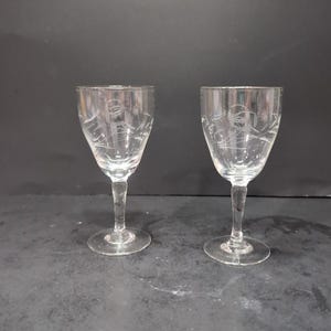 Rosen geätztes Glas Cordial Set, Vintage Stielgläser, Blumenlikör Set, Elegante Barware, 2er Set, Sammlergeschenk