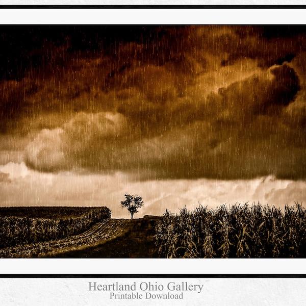 Tempest Unleashed: Lonely tree against backdrop swirling rolling clouds fine art wall decor. Bronze toned rural stormy weather nature scenic