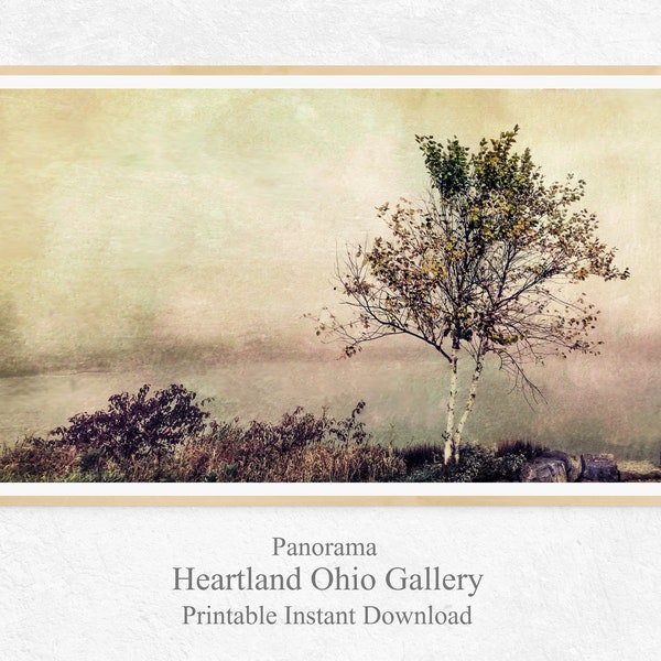 Foggy Birch Along a Little Pond--Panorama Wall Decor | Birch Tree | Foggy | Abstract | Cream color | Printable | Misty Morning Art Print |