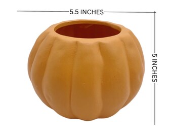 Pumpkin Planter | Pumpkin Succulent Planter | Succulent Planter | Home Decor | Succulent Gift | Ceramic Planter | Fall Decor | Autumn Decor