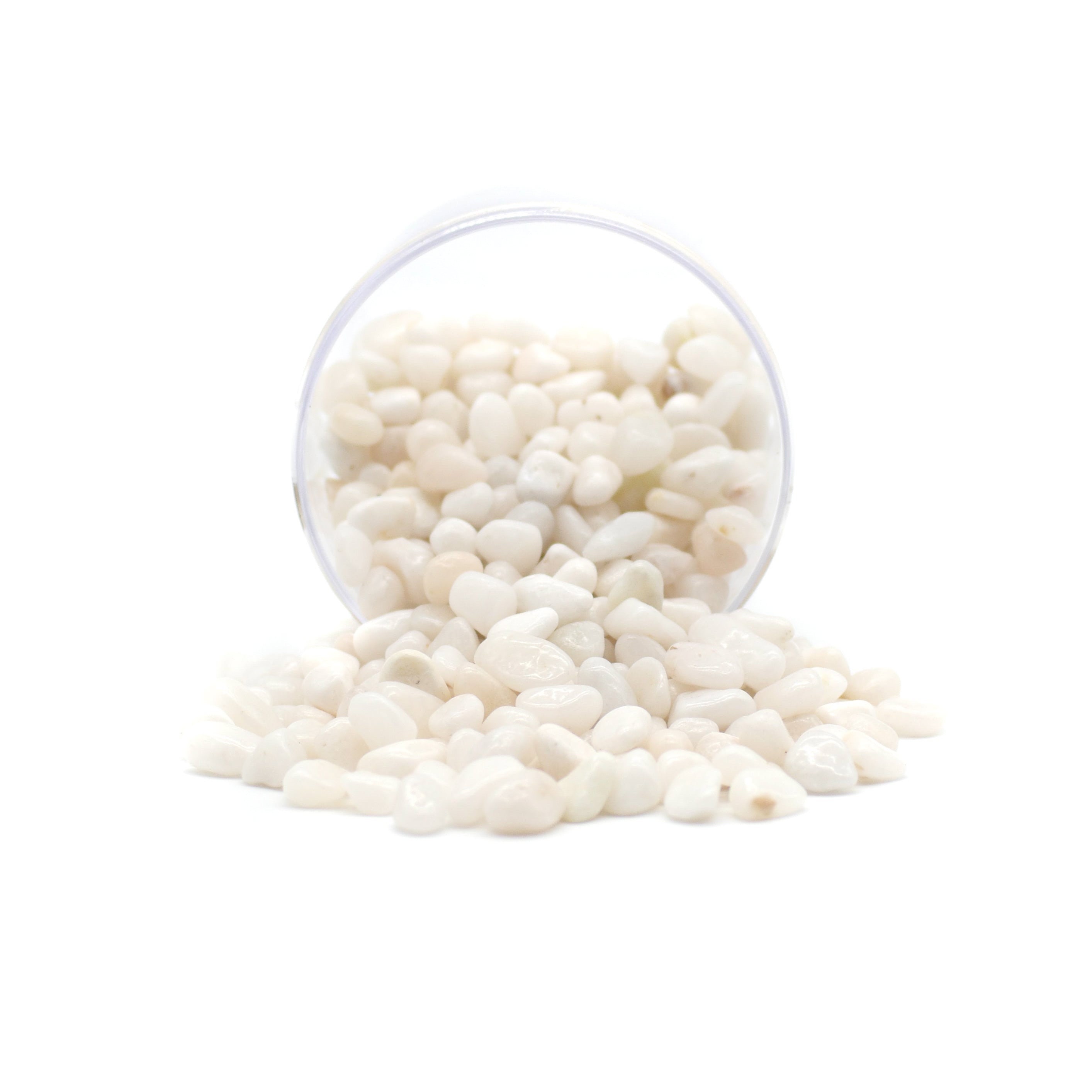 White Gravel Pebbles Houseplant Top Dressing Succulent Top Etsy