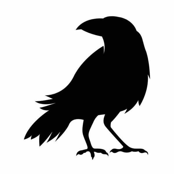 Black Raven Crow Silhouette Design SVG PNG Bundle - Cricut - Stickers Crafting Laser Files Bird