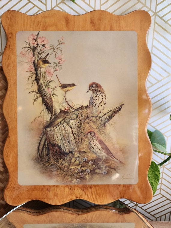 Beautiful Vintage Ruane Manning Birds Print on Epoxied Frame