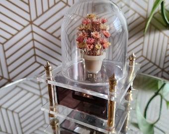 Dôme de boîte à musique vintage en acrylique avec pot de fleur qui tourne, 15 cm