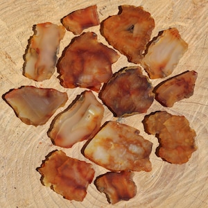 13 Piece Rock Slab Lot - Washington Carnelian Banded Agates Tumbling Rock, Cabbing Rock, Display Rock