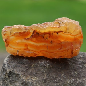 132 g piccola agata corniola fasciata arancione Washington - regalo di arredamento per la casa, regalo di roccia, regalo per collezionisti di roccia, esposizione di roccia