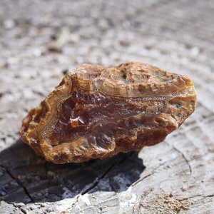 97 g Small Red Banded Buckskin Washington Carnelian Agate - Home Decor Rock, Display Rock, Home Warming Gift