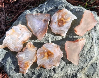 7 Piece Rock Slab Lot - Eastern Oregon Agates Tumbling Rock, Cabbing Rock, Display Rock, Rock Gift