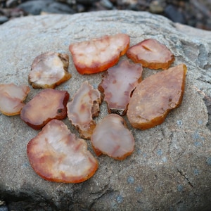 10 Piece Rock Slab Lot - Washington Carnelian Banded Agates Tumbling Rock, Cabbing Rock, Display Rock
