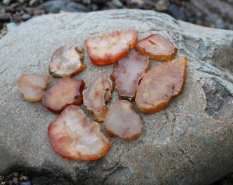 10 Piece Rock Slab Lot - Washington Carnelian Banded Agates Tumbling Rock, Cabbing Rock, Display Rock