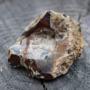 218 g Medium Washington Carnelian Buckskin Botryoidal Agate - Home Decor Gift, Rock Gift, Rock Collector Gift, Display Rock, Christmas Gift