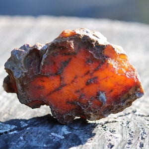g Large Red Buckskin Washington Carnelian Agate with Banding - Home Decor Rock, Display Rock, Home Warming Gift, Rock Gift