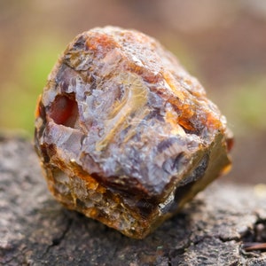 192 g Medium Washington Carnelian Buckskin Agate - Home Decor Gift, Rock Gift, Rock Collector Gift, Display Rock, Christmas Gift