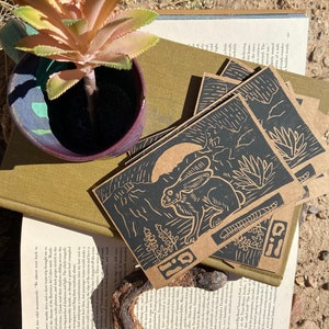 Jackrabbit & Moon Postcard PACK OF 5