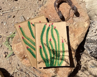 Ocotillo - Cartoncino bianco - confezione da 5