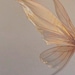 Ever