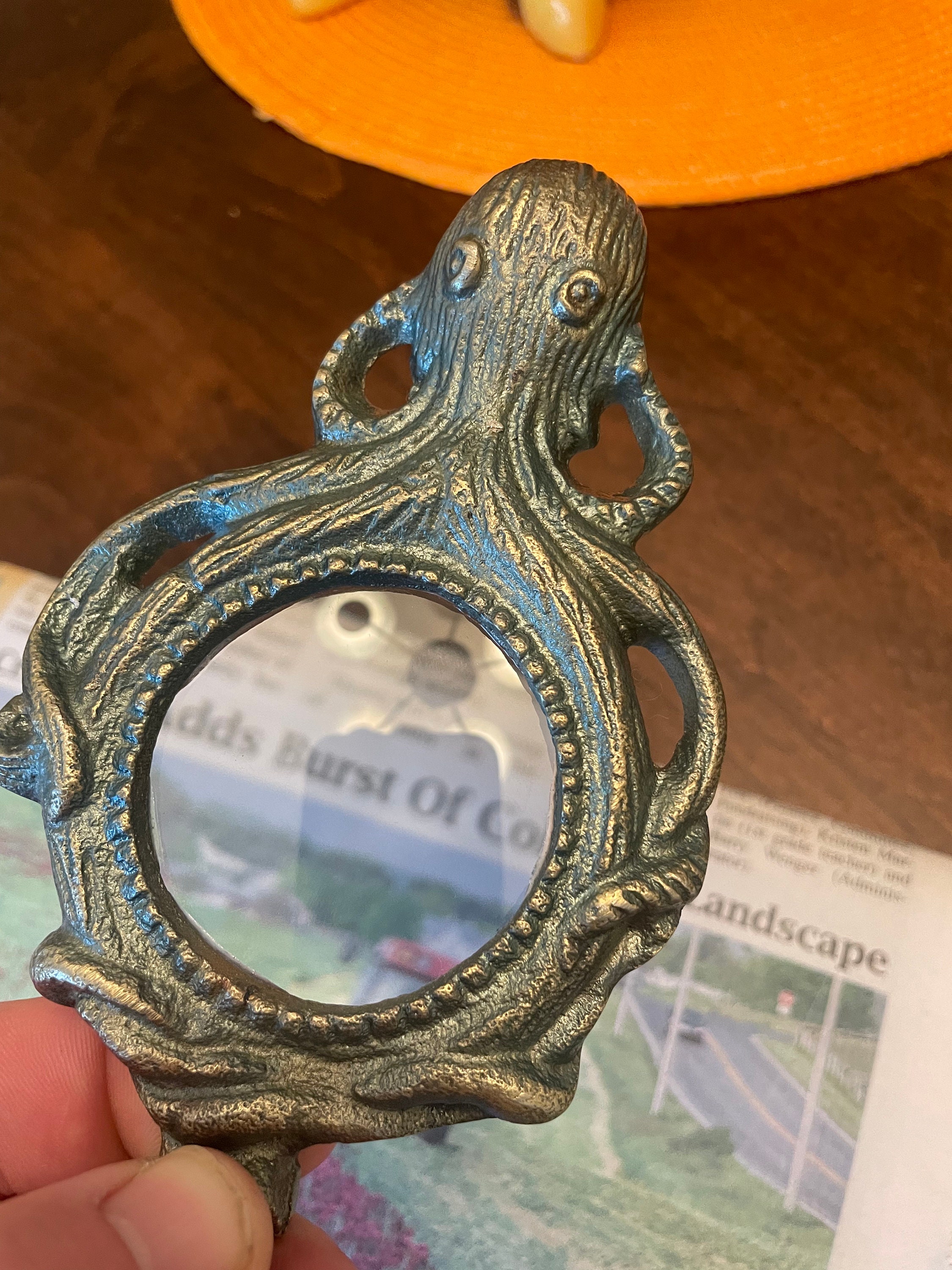 Metal Octopus Wall Hook Made of Cast Iron. This is a Fantastic