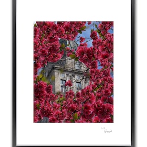 A framed color photo shows a stone building partially obscured by vibrant pink blossoms.