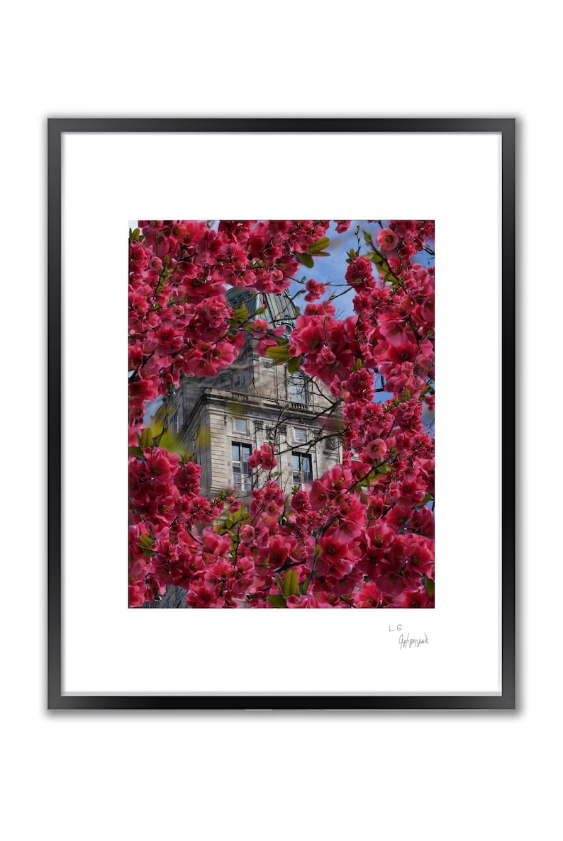 A framed color photo shows a stone building partially obscured by vibrant pink blossoms.