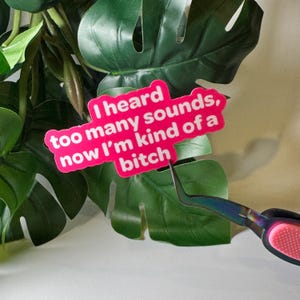 May include: Pink sticker with white text that reads "I heard too many sounds, now I'm kind of a bitch". The sticker is placed on a green leafy plant.