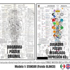 Póster Anatomía Oculta-Occult Anatomy. Impreso HD 90x65cm (Versión: Standar). Registrada ante el INDAUTOR. Idioma Español, Inglés e Italiano