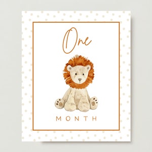 Cartes d'étapes mensuelles imprimables pour filles et garçons, cartes d'étapes importantes Boho Toys, téléchargement immédiat