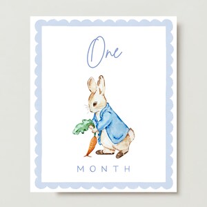 Carte cardine mensili stampabili per ragazze e ragazzi, Carte cardine illustrazione ad acquerello, Peter Rabbit Beatrix Potter, DOWNLOAD IMMEDIATO