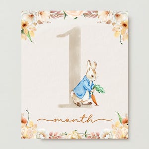Cartes d'étape mensuelles imprimables pour filles et garçons, cartes d'étape importante d'illustration aquarelle, Peter Rabbit Beatrix Potter, TÉLÉCHARGEMENT IMMÉDIAT