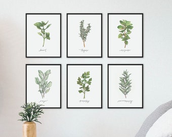 SET of 6 Farmhouse Herb Prints, Modern Rustic Watercolor Botanical Herb Prints, Kitchen Gallery Wall Art, Botanical Art Prints