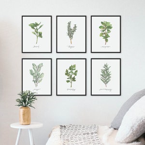 SET van 6 boerderijkruidafdrukken, moderne rustieke aquarel botanische kruidenafdrukken, keukengalerij kunst aan de muur, botanische kunst wordt afgedrukt