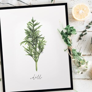 Wydruk z ziołami Dill Garden, rustykalny wystrój kuchni w stylu akwareli w stylu wiejskiego domu, nowoczesny wydruk z ziołami botanicznymi, galeria sztuki ściennej w kuchni