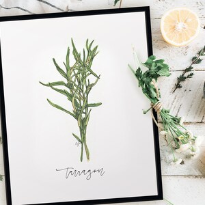 Wydruk z estragonowym ogrodem ziołowym, rustykalny wystrój kuchni w stylu akwareli, nowoczesny wydruk z botanicznymi ziołami, galeria sztuki ściennej w kuchni