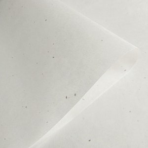 Carta Washi Chiri White Kozo (45 gsm) per pittura, calligrafia e stampa - Carta di gelso tailandese di Kozo Studio