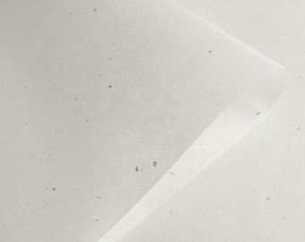 Chiri White Mulberry Paper (45 gsm) for Painting, Calligraphy, and Printmaking by Kozo Studio