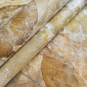 Carta Kozo in foglia di teak fatta a mano - Carta di gelso thailandese di Kozo Studio