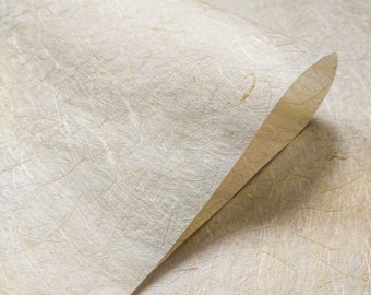 Kinwashi (papier d'abaca naturel) - Papier de mûrier thaïlandais par Kozo Studio