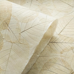 Handmade Buddha Leaf Kozo Paper (Natural) - Thai Mulberry Paper by Kozo Studio