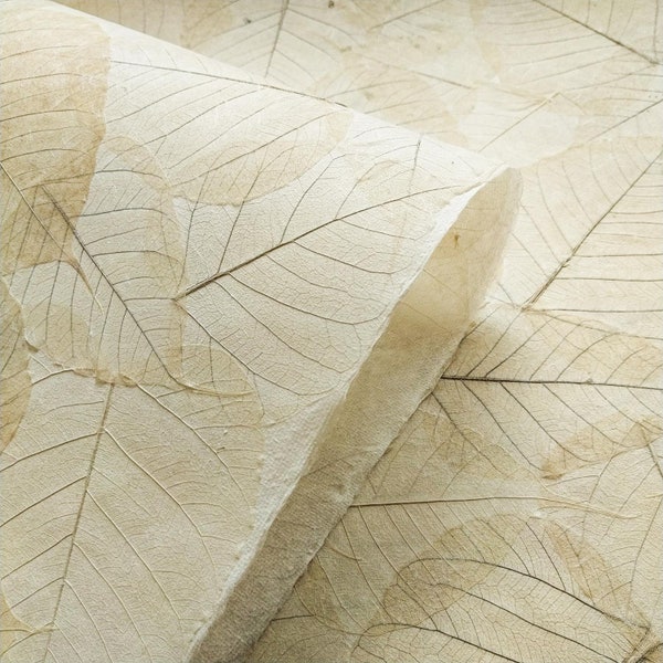 Handmade Buddha Leaf Mulberry Paper (Natural) by Kozo Studio