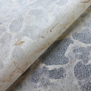 Tidal Lace Kozo Paper (Banana Fiber) - Thai Mulberry Paper by Kozo Studio