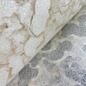 Carta Tidal Lace Kozo (fibra di banana) - Carta di gelso thailandese di Kozo Studio