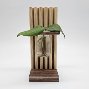 Propagation Display
