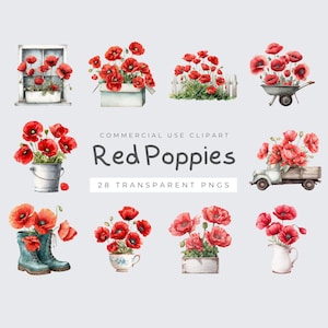 May include: Watercolor clipart featuring red poppies in various arrangements. Includes poppies in a window box, a wheelbarrow, a bucket, a truck, and other containers. Text reads "Red Poppies" and "28 Transparent PNGs."