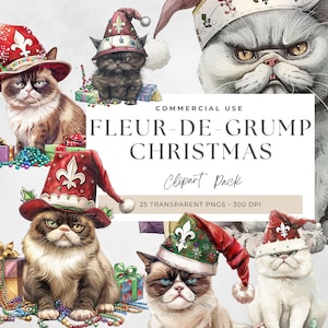 Clipart chat de Noël grincheux, clipart drôle de chat de Noël, clipart drôle de chat de Noël, dessins uniques pour les fêtes, Noël de la Nouvelle-Orléans PNG