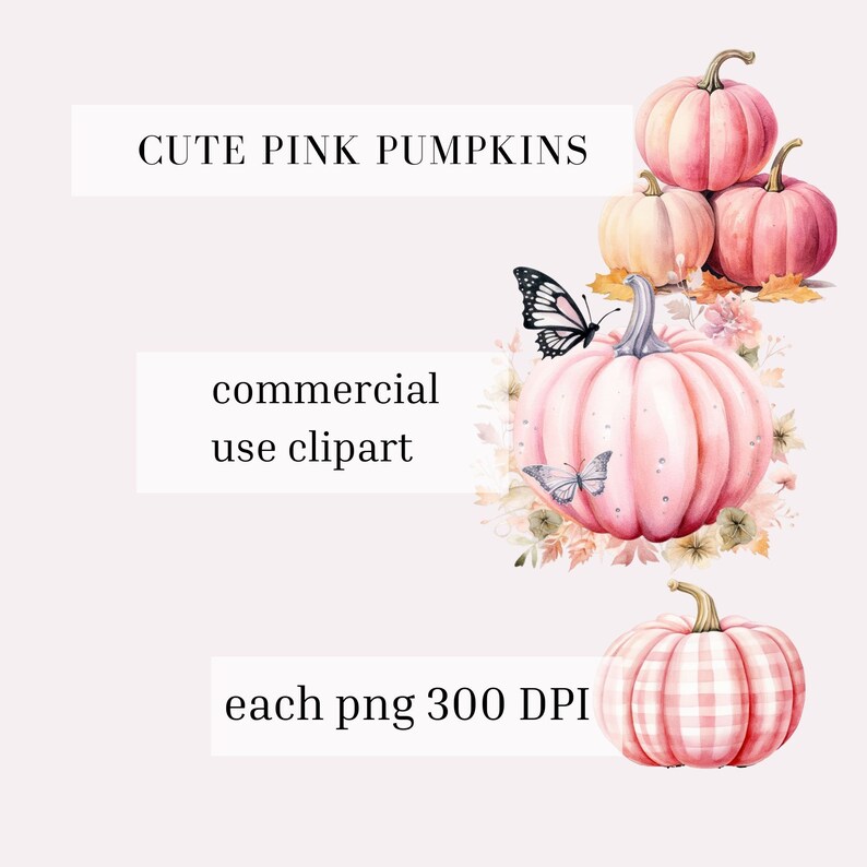 K&ouml;nnte beinhalten: Ein Set aus vier rosa K&uuml;rbissen mit wei&szlig;en Punkten und einem einzelnen rosa K&uuml;rbis mit einem wei&szlig;en und rosa karierten Muster. Die K&uuml;rbisse sind von Schmetterlingen und Blumen umgeben.  "Cute Pink Pumpkins" und "Commercial Use Clipart" sind in schwarzem Text geschrieben.  "Each png 300 DPI" ist in schwarzem Text geschrieben.